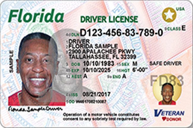 florida drivers license issue date search